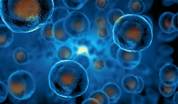 Types of Stem cells